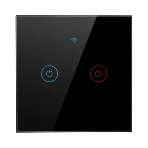 SMATRUL Voice Control Smart Home Product Tuya Google Home Alexa EU 2 Gang WiFi Wall No Neutral Wire Touch Light Switch