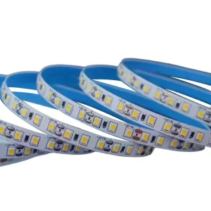 SMD2835 Flexible LED Strip 12V/24V 60/240 LEDs Monochrome/Tricolor CCT Dimming