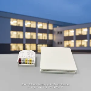 Self-Powered Wireless Kinetic Remote Wall Switch Manufacturers ODM for School and Hospital Projects
