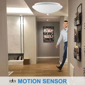 Sensor Control LED Modern Ceiling Lamp Full Function High Brightness 5CCT Sensor ETL cETL Certified 5 Year Warranty for Indoor