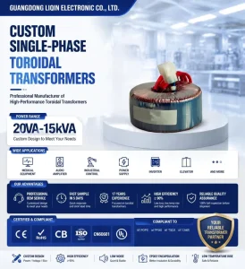 Single-Phase Toroidal Coil Autotransformer Power Transformer 110V to 12V 50Hz High-Current