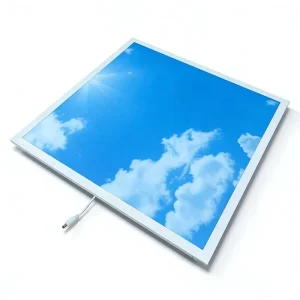 Skylight Blue Sky Clouds Recessed 600x600mm Decorative Led Ceiling Panel Light decorative Plate Led Ceiling Light