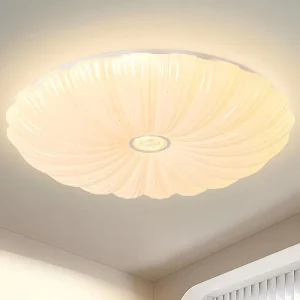 Slim Round LED Surface Mount Ceiling Light for Bedroom and Home