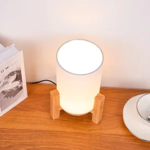 Small Plastic and Fabric LED Desk Night Light with Touch Control, Dimmable, Battery Included