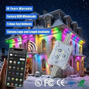 Smart App Controller 48V Permanent Outdoor 6-LED Point Lights IP68 Waterproof Holiday Christmas Decoration Lighting