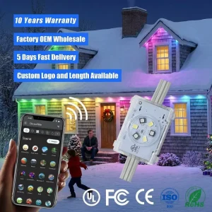 Smart App Controller 48V Permanent Outdoor RGBIC 6-LED Point Lights IP68 Waterproof Christmas Decorative Lighting