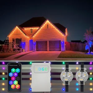 Smart-Control Point LED Light for Gardens and Patios