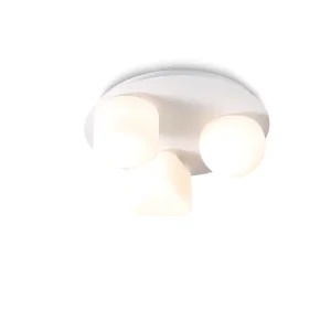 Smart Dimmable 24W LED Ceiling Light for Bedroom and Home