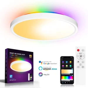 Smart Home Lights WIFI Ble Remote Control 30W Flush Mount Smart LED Ceiling Light