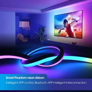 Smart LED Neon Strip Set Light Strings IP65 USB RGB IC App Control Dimmable Flexible Strip Light for Room TV Decoration