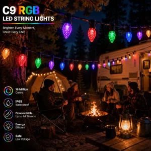 Smart LED String Lights for Garden, Gazebo, Wedding, and Festival Decor