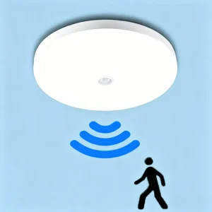 Smart PIR Sensor LED Ceiling Lamp with Motion Sensor