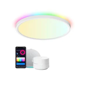 Smart RGB LED Ceiling Light 24W RGBIC Backlight WiFi Bluetooth App Control AC100-240V Timer
