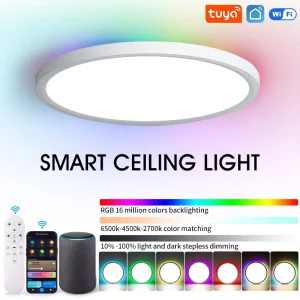 Smart RGB LED Modern AC Ceiling Light Tuya Wifi App Control Flush Mount Works Alexa Google Home Colors Bedroom Home Office