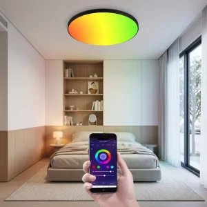 Smart RGB WiFi LED Ceiling Light IP54 for Living Room Bedroom