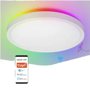 Smart WiFi LED Ceiling Light 24W 300mm Ultra-Thin