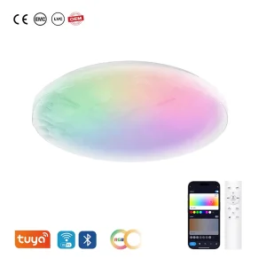 Smart WiFi LED Ceiling Light with Remote Control Dimmable Metal Acrylic Flush Mount