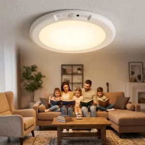Smart Wireless Rechargeable Motion Sensor LED Ceiling Light with Adjustable Color Temperature