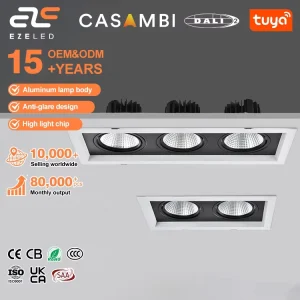 Supplier Customized 30W 60W 90W Smart COB Recessed Black Double-Head Downlights
