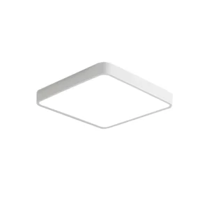 Surface Mounted LED Ceiling Light for Bedroom and Living Room