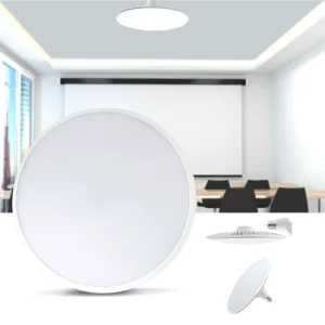 Surface-Mounted LED Ceiling Light with Remote Control for Living Room and Bedroom