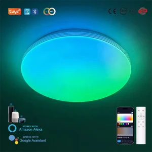 TUYA App Control Smart LED Ceiling Lights Voice Control WiFi Remote 48W Dimmable RGB Eco Friendly Home Lighting