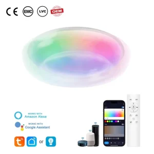 TUYA WIFI APP Voice Smart LED Ceiling Lights Eco Friendly Dimmable 48W High CRI>80 Remote Adjustable Color Temperature Home