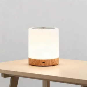 Touch LED Night Light, Dimmable, Colorful, Rechargeable, with Timer for Indoor and Outdoor Use