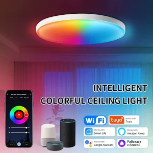 Tuya Electric WiFi Smart Ceiling Light Alexa Google App Control Ultra Thin Minimalist Design RGB Color Changing Bedroom Light