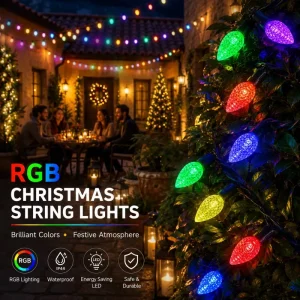 Tuya Smart String Lights with App Controlled Lights and Remote Control Lights for Outdoor Patio Party Scenes Decor Kit