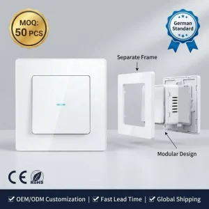 Tuya Smart WiFi Modular 1 Gang German Standard Wall Light Switch Separate Frame