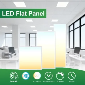 US Stock LED Modern Panel Light 1*4FT ETL DLC Adjustable CCT SMD2835 IP44 High Brightness 5 Year Warranty Home Office 5CCT 5000K