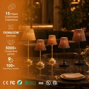 USB Rechargeable Dual Use Decorative Table Lamp Modern Iron Body Bedside Desk Night Light with Eye Protection for Bar Tables