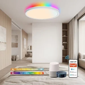 Ultra Slim Surface Mounted LED Ceiling Light Tuya Smart App Control IP44 Rated 5 Year Warranty 3000K 5700K Color Temp for Modern