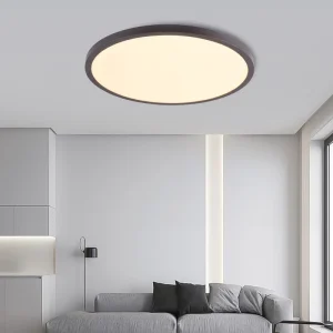 Ultra-Thin 3CCT Stepless Dimming LED Ceiling Light 24W 36W 48W for Home Office
