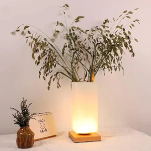 Vase Shape Table Lamp Wooden Base USB Charging Three-Color Dimmable Bedside Night Light Nordic