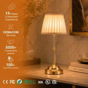 Vintage Elegant Cordless Rechargeable 3 Level Brightness Soft Warm Light Pleated Shade Indoor Dining Bedroom LED Table Lamp
