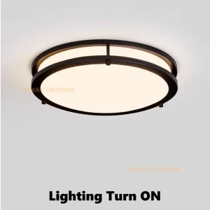 WROUGHT IRON Living Room Round Led Light Ceiling Dimmable Remote Ultra Thin Ceiling Lamp Led Ceiling Light Ceiling Lights