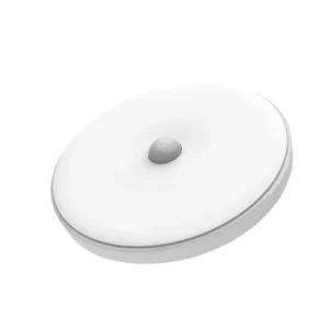 Wall Mounted Motion Sensor LED Night Light