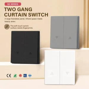 Wall Roller Shutter Curtain Switch AC 250V 10A European Standard 2 Gang Up and Down Controller