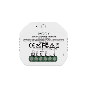 WiFi Light Control Wall Switch Smart Home App Remote 10A 2 Switches Module IPS EU/US Residential Use