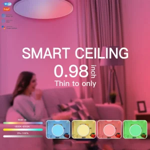 WiFi Smart Dimmer Module LED RGB Ceiling Light with App Control and Timer