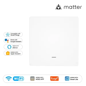 WiFi Smart Switch App Remote Control M5 Matter Model AC Powered 2200W Max Load Flame-Retardant PC European Standard