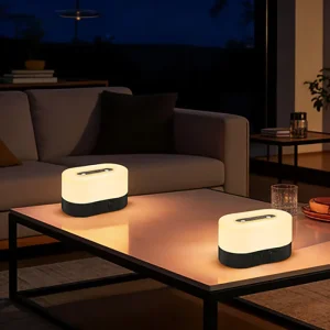 Wireless LED Bedside Table Lamp 13 Colors Dimmable Touch Control Night Light for Home Indoor Decoration