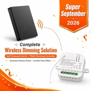Wireless Wall Switch for Home Automation Dimmer Switch 240V Low-Cost Control Switch Devices