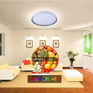 Worbest Modern AC Powered LED Ceiling Lamp 16Inch 35W Damp Rated Flush Mount for Bedroom Living Room Luxury Style