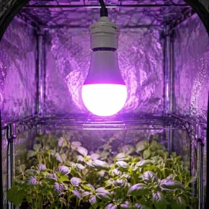 Zero Flicker Triac Dimmable Red Blue Plant Grow LED Bulb 120V E26 Base Ideal for Long Time Indoor Plant Cultivation