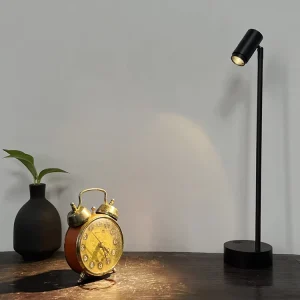 Zoomable Rechargeable LED Spotlight Floor Lamp with Aluminum Body for Jewelry Showcases